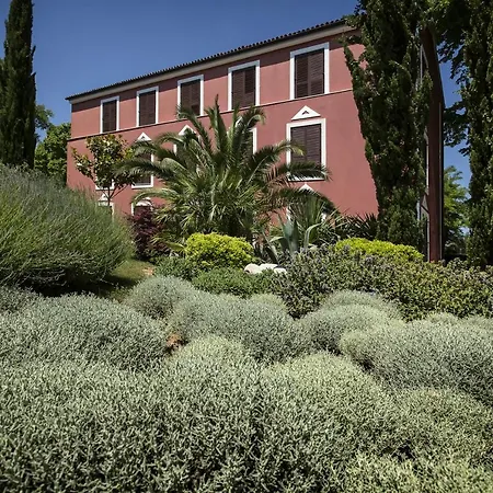 Ξενοδοχείο Donat 4*