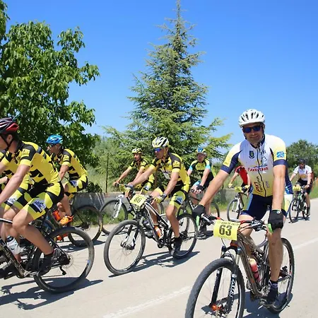 Szálloda Donat Sveti Filip i Jakov